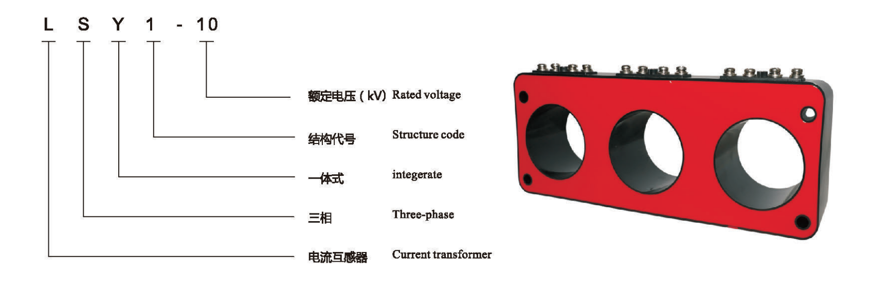 LSY1-10 type Description.png